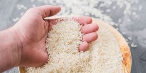 شرط وزارت جهادکشاورزی برای واردات برنج